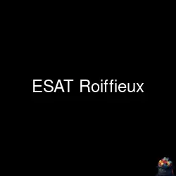 Logo ESAT Roiffieux