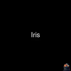 Logo Iris