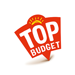 Logo Top Budget