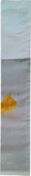 Goldfish 100L 